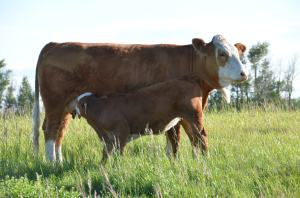 Tara with 2012's Hope - June 20