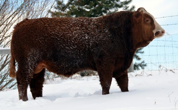 APLX Clancy 6B - Feb 8, 2015