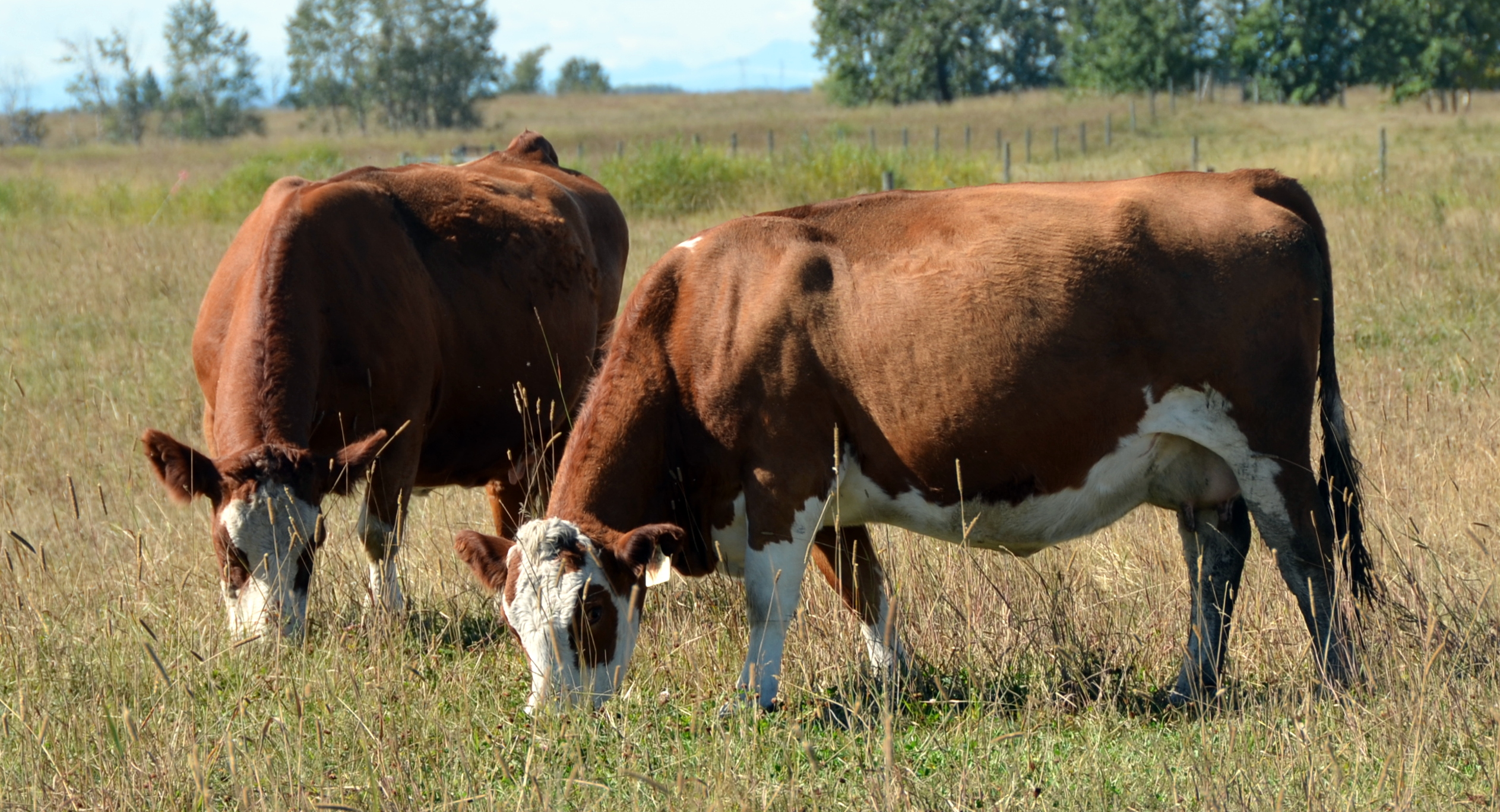 Charlotte & Christina
